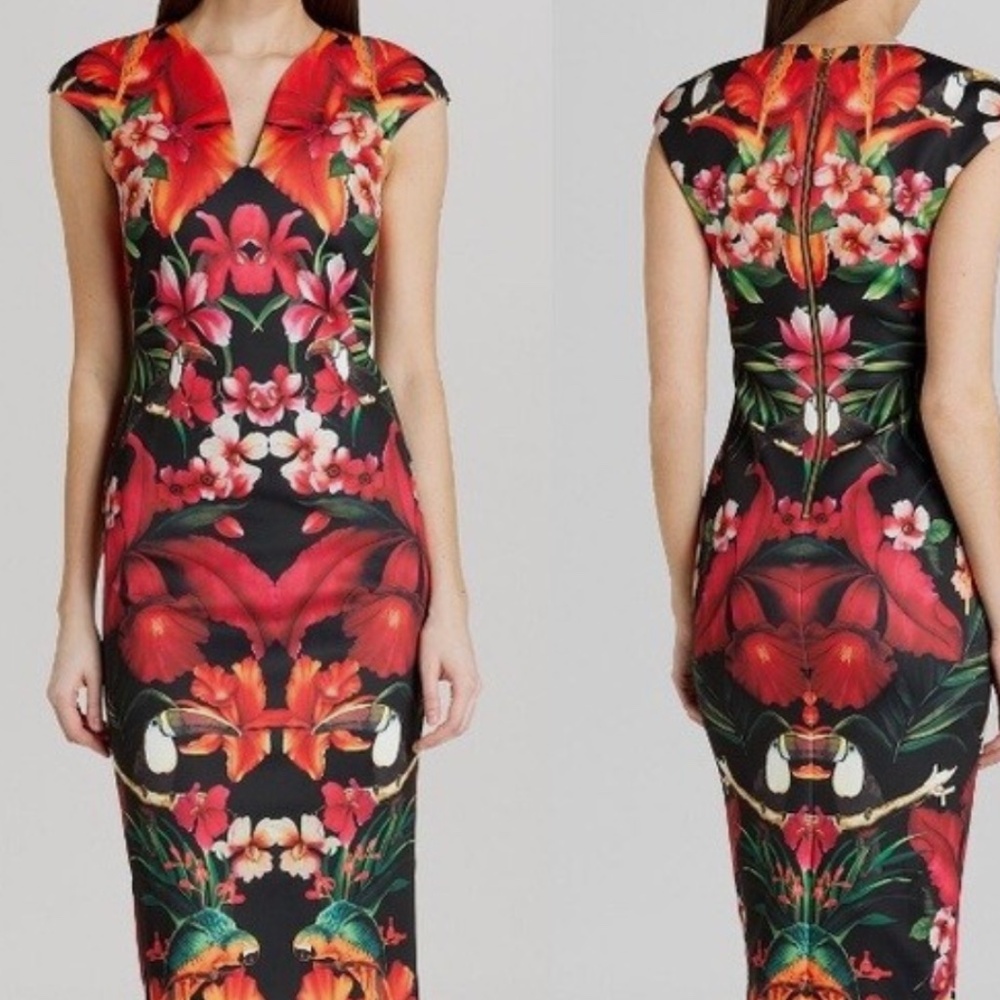 ✨ TED BAKER ‘Bismii Toucan’ Print Sheath Dress – Size 0 ✨ NEW